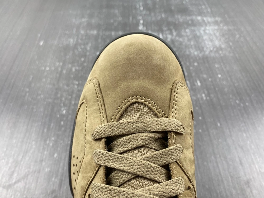 DailyWear Jordan 6 Retro Gore-Tex Brown Kelp FD1643- 4026