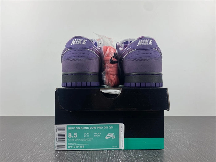 Nike SB Dunk Low Concepts Purple Lobster BV1310- EasyCare 4548
